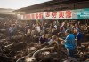 吴中区手机设备回收市场机遇与挑战分析